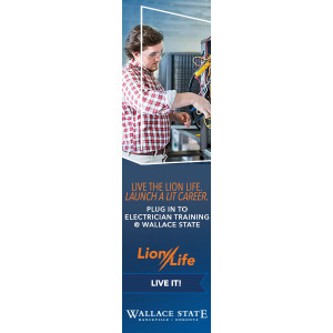 Wallace_Lion-Life-23_Display_Electrician_160x600